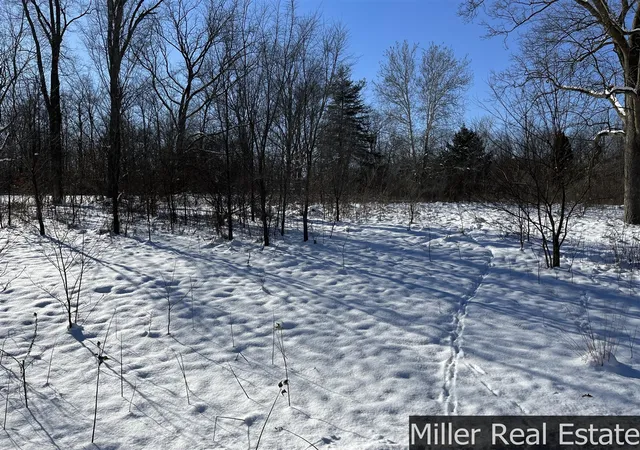 Photo 3 of Land for sale at 364 S M 37 Hwy, Hastings, MI 49058 | MLS# 70512317 | Listing updated on 2026-06-17