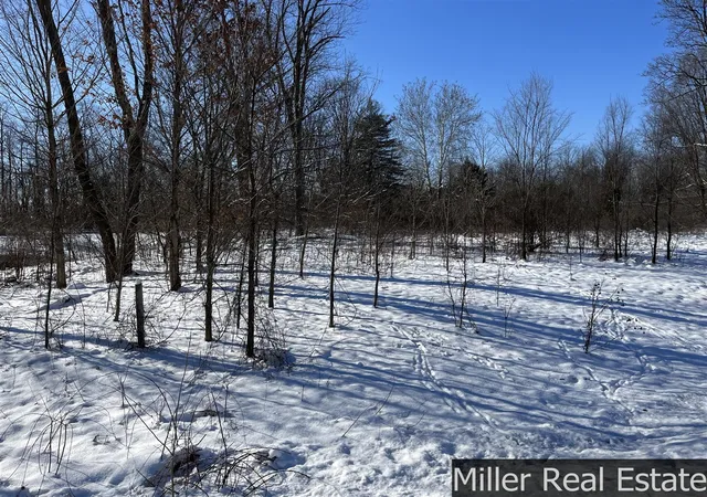 Photo 4 of Land for sale at 364 S M 37 Hwy, Hastings, MI 49058 | MLS# 70512317 | Listing updated on 2026-06-17