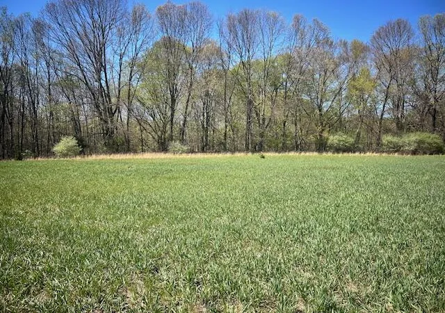 2nd image of Parcel 1 70th St, South Haven, MI 49090 | MLS# 70527858