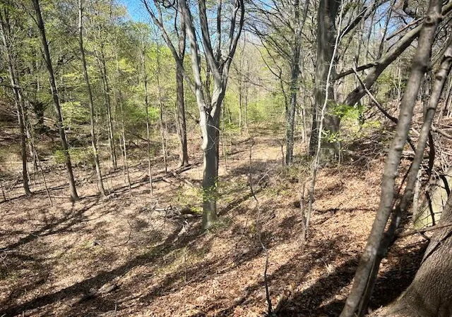 3rd image of Parcel 1 70Th St, South Haven, MI 49090 | MLS# 70527858