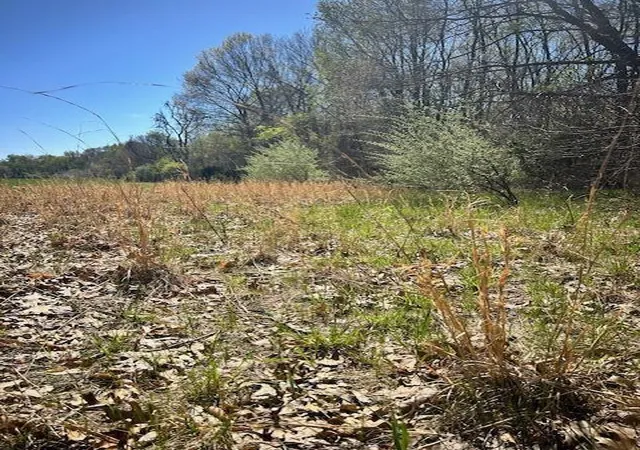 4th image of Parcel 1 70Th St, South Haven, MI 49090 | MLS# 70527858