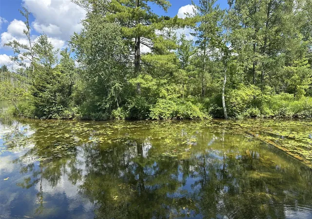 1st image of 1743 W 68th St, Baldwin, MI 49304 | MLS# 70545125
