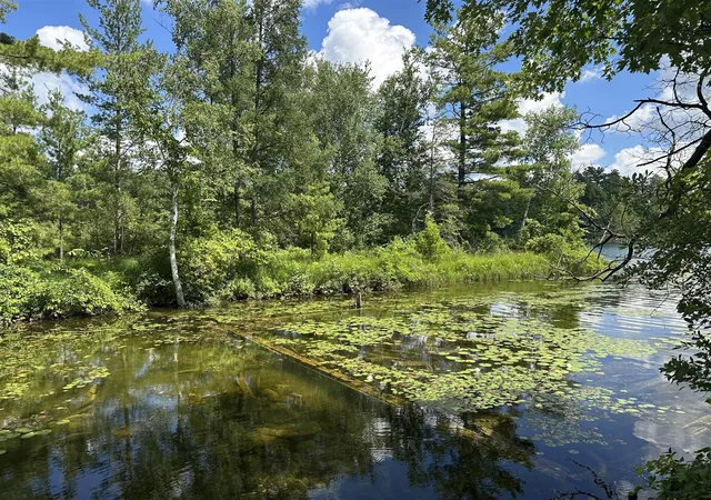 2nd image of 1743 W 68th St, Baldwin, MI 49304 | MLS# 70545125