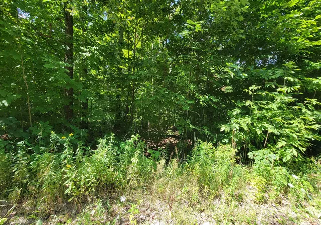Photo 1 of Land for sale at Vl Beechnut Ln, Wolverine, MI 49799 | MLS# 80072879 | Listing updated on 2026-08-29