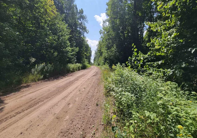 Photo 3 of Land for sale at Vl Beechnut Ln, Wolverine, MI 49799 | MLS# 80072879 | Listing updated on 2026-08-29
