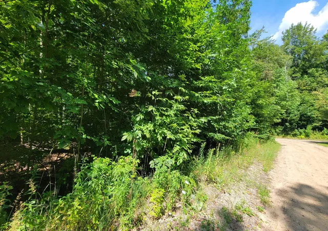 Photo 4 of Land for sale at Vl Beechnut Ln, Wolverine, MI 49799 | MLS# 80072879 | Listing updated on 2026-08-29