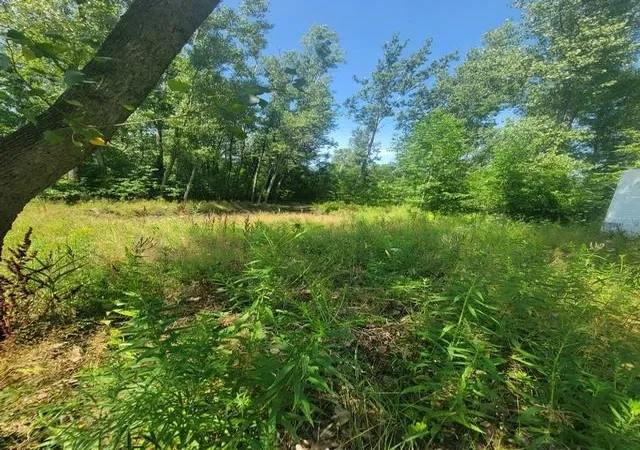 Photo 2 of Single family home for sale at 2615 Schaffer Rd, Turner, MI 48765 | MLS# 50218236 | Listing updated on 2026-08-13
