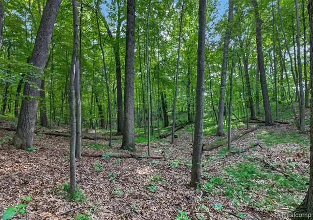 Photo 2 of Land for sale at Vacant Faust Dr, Ortonville, MI 48462 | MLS# 61024287 | Listing updated on 2026-08-27