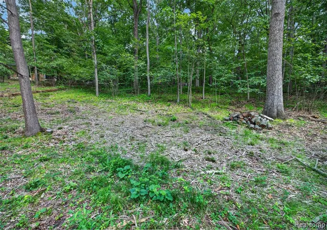 3rd image of Vacant Faust Dr, Ortonville, MI 48462 | MLS# 61024287