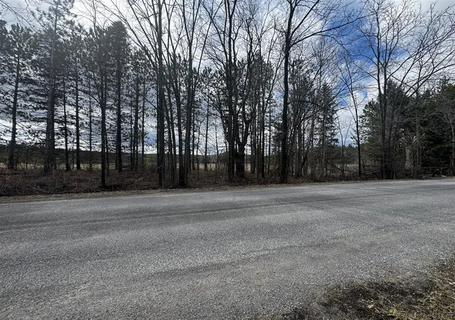 Homes for sale in Chase, MI | V/l 2 Acre S Saddler Rd, Chase, MI 49623 | MLS# 70524676