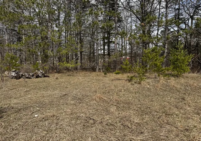 Homes for sale in Chase, MI | V/L 2 Acre S Saddler Rd, Chase, MI 49623 | MLS# 70524676