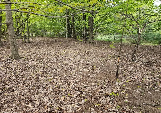 Photo 3 of Land for sale at Sadie Ln, Mesick, MI 49668 | MLS# 70533411 | Listing updated on 2026-08-25