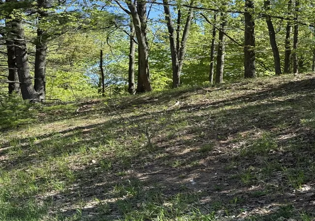 Photo 3 of Land for sale at Sadie Ln, Mesick, MI 49668 | MLS# 70533411 | Listing updated on 2026-08-25