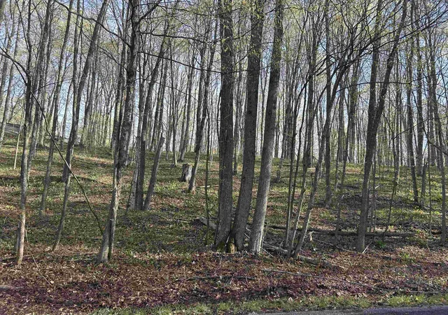 Homes for sale in Bellaire, MI | Lot 122 Maromir Ct, Bellaire, MI 49615 | MLS# 80067754