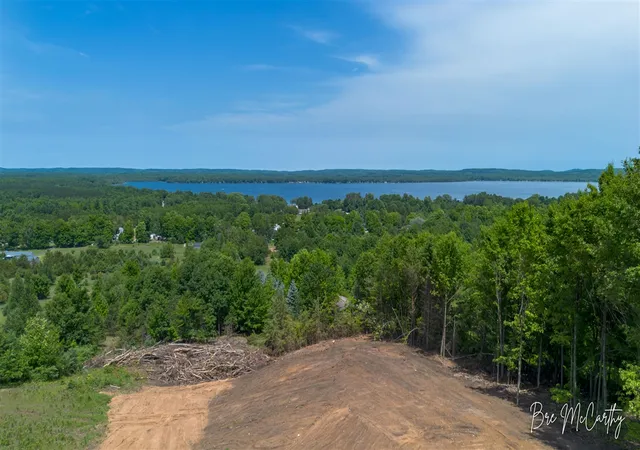 Homes for sale in Bear Lake, MI | V/l Spruce Ridge Rd, Bear Lake, MI 49614 | MLS# 70543053
