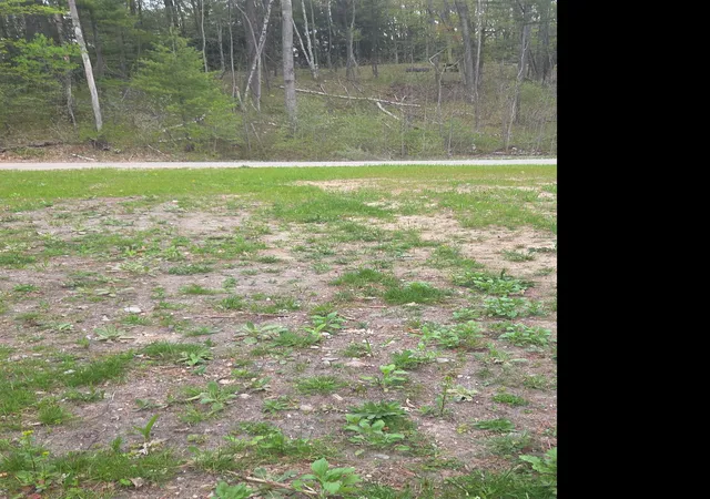 11th image of 00 Wild Cherry Ln, Hale, MI 48739 | MLS# 80068413