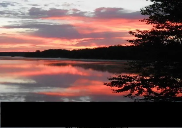 4th image of 00 Wild Cherry Ln, Hale, MI 48739 | MLS# 80068413