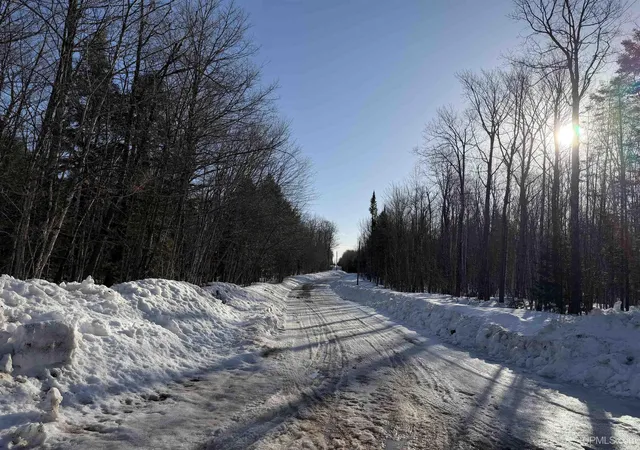 17th image of 56 Acres Halverson Rd, Skandia, MI 49885 | MLS# 50202081