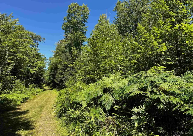Photo 1 of Land for sale at 56 Acres Halverson Rd, Skandia, MI 49885 | MLS# 50202081 | Listing updated on 2026-08-27