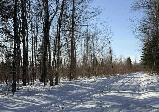 1st image of 56 Acres Halverson Rd, Skandia, MI 49885 | MLS# 50202081