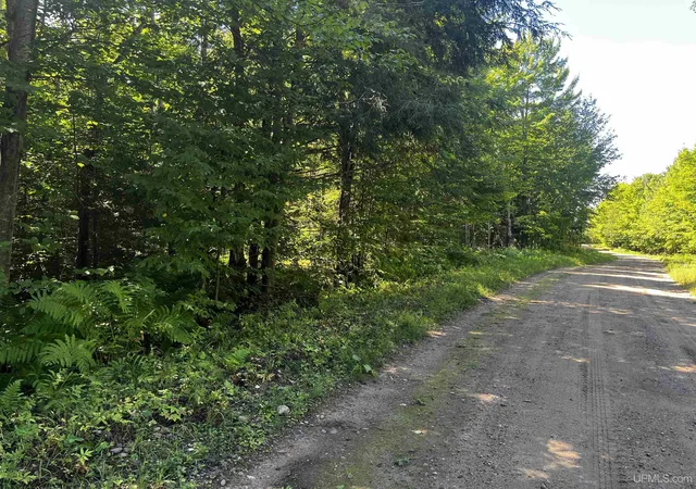 Photo 2 of Land for sale at 56 Acres Halverson Rd, Skandia, MI 49885 | MLS# 50202081 | Listing updated on 2026-08-27