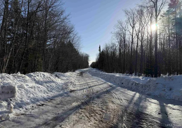 2nd image of 56 Acres Halverson Rd, Skandia, MI 49885 | MLS# 50202081