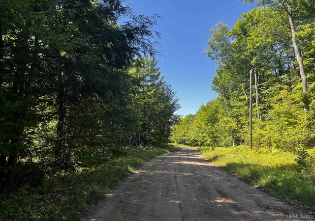 Photo 3 of Land for sale at 56 Acres Halverson Rd, Skandia, MI 49885 | MLS# 50202081 | Listing updated on 2026-08-27