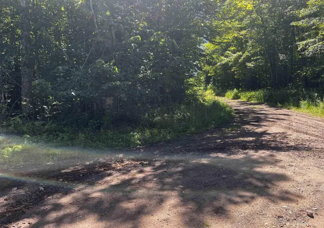 Photo 3 of Land for sale at 56 Acres Halverson Rd, Skandia, MI 49885 | MLS# 50202081 | Listing updated on 2026-08-27