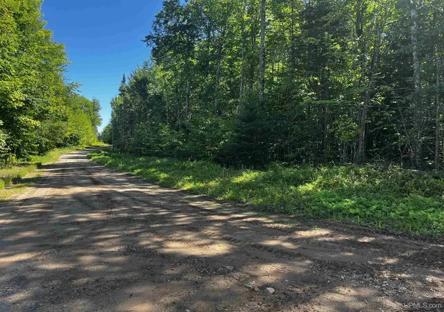 Photo 4 of Land for sale at 56 Acres Halverson Rd, Skandia, MI 49885 | MLS# 50202081 | Listing updated on 2026-08-27