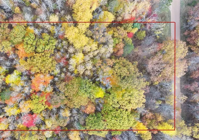 Photo 3 of Land for sale at 11643 N Willow Rd, Bitely, MI 49309 | MLS# 70522240 | Listing updated on 2026-04-28