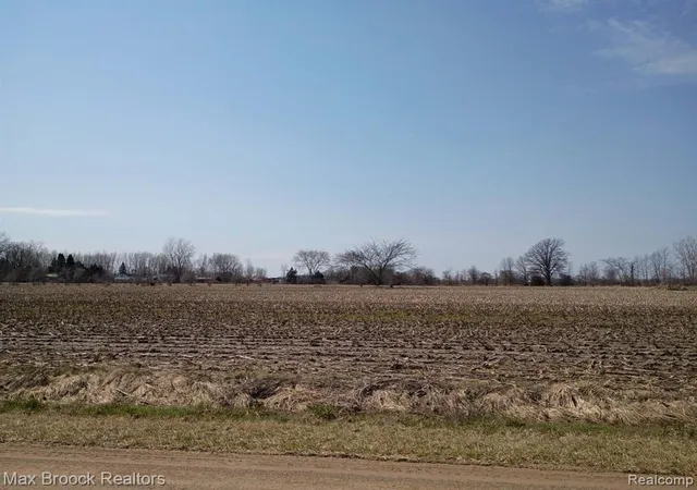 Homes for sale in New Lothrop, MI | 000 Reed Rd, New Lothrop, MI 48460 | MLS# 60983528