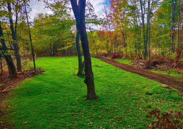 1st image of V/land Se M 115, Marion, MI 49665 | MLS# 80072461