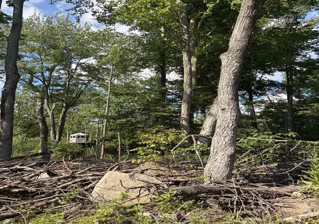 5th image of V/Land Se M-115, Marion, MI 49665 | MLS# 80072461