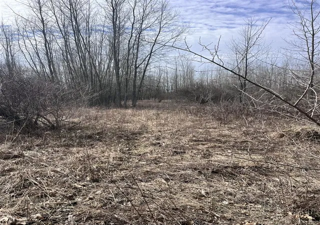 Photo 36 of Land for sale at 8453 S Durand Rd, Durand, MI 48429 | MLS# 70549929 | Listing updated on 2026-08-03