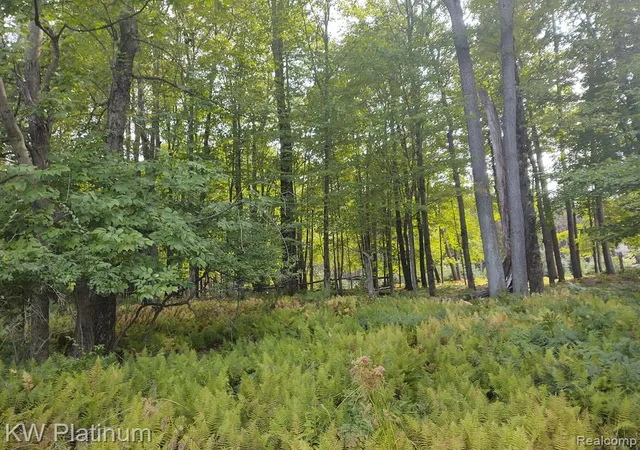 Photo 4 of Land for sale at 9552 Fawn Lake Dr, Stanwood, MI 49346 | MLS# 60389135 | Listing updated on 2026-07-21