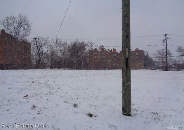 Photo 3 of Land for sale at 2736 Rochester St, Detroit, MI 48206 | MLS# 60285923 | Listing updated on 2025-11-20