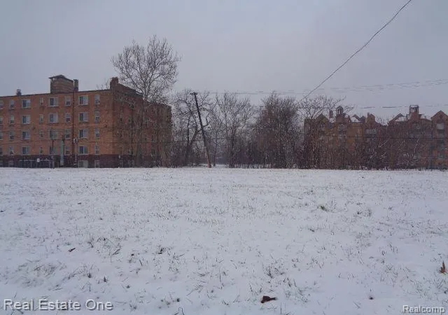 Photo 4 of Land for sale at 2736 Rochester St, Detroit, MI 48206 | MLS# 60285923 | Listing updated on 2025-11-20
