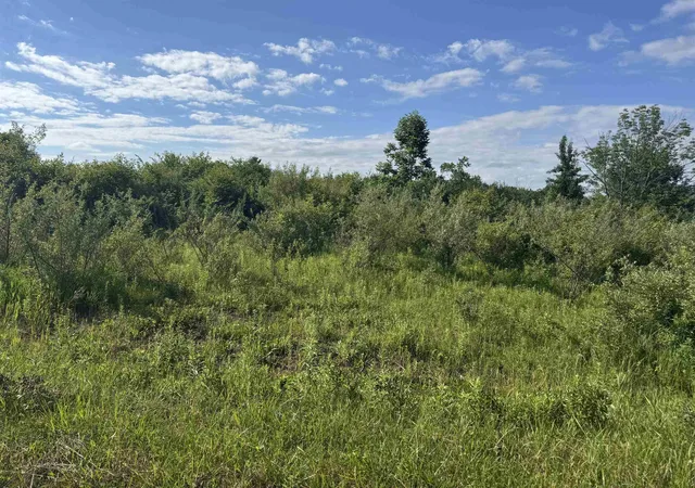 1st image of S Lakeview Court Rd, Gladwin, MI 48624 | MLS# 50214434