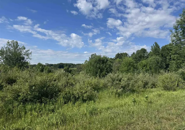 2nd image of S Lakeview Court Rd, Gladwin, MI 48624 | MLS# 50214434