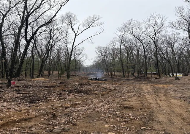 Photo 3 of Land for sale at 5420 Thorpe St, Fennville, MI 49408 | MLS# 70540670 | Listing updated on 2026-07-02