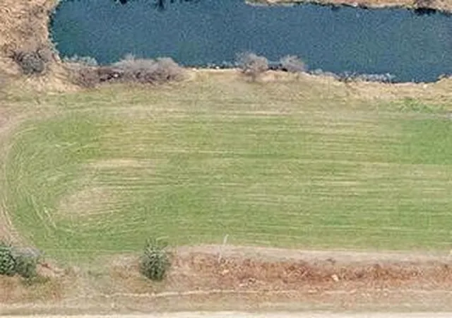 Photo 1 of Land for sale at 5233 124th Avenue, Fennville, MI 49408 | MLS# 70521602 | Listing updated on 2026-08-19