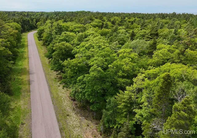 4th image of Tbd38 Eliza Creek Dr, Mohawk, MI 49950 | MLS# 50211811