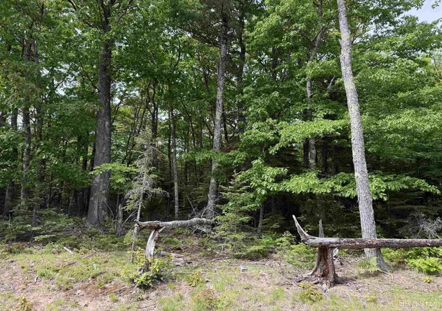 5th image of Tbd38 Eliza Creek Dr, Mohawk, MI 49950 | MLS# 50211811
