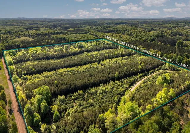 2nd image of Lot C 528 Ac Cedar Creek Rd, Fife Lake, MI 49633 | MLS# 80070625