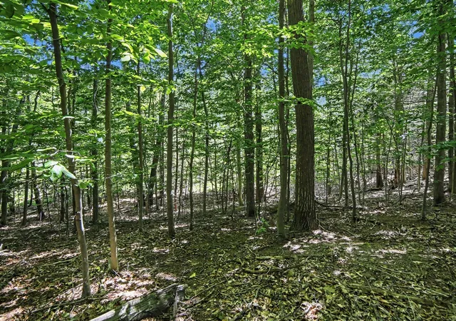 Photo 1 of Land for sale at V/l S Shore Dr, Whitehall, MI 49461 | MLS# 70546812 | Listing updated on 2026-09-08