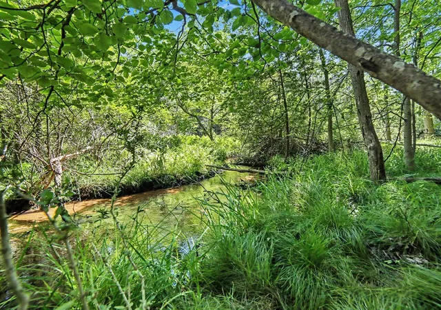Photo 3 of Land for sale at V/l S Shore Dr, Whitehall, MI 49461 | MLS# 70546812 | Listing updated on 2026-09-08