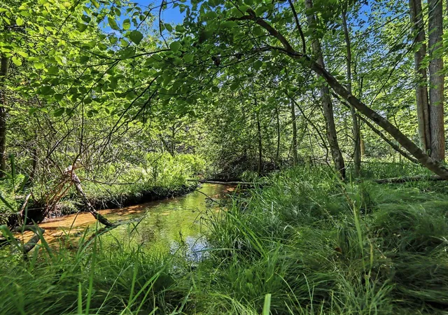 Photo 3 of Land for sale at V/l S Shore Dr, Whitehall, MI 49461 | MLS# 70546812 | Listing updated on 2026-09-08