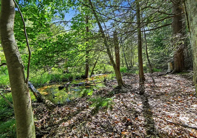 Photo 4 of Land for sale at V/l S Shore Dr, Whitehall, MI 49461 | MLS# 70546812 | Listing updated on 2026-09-08