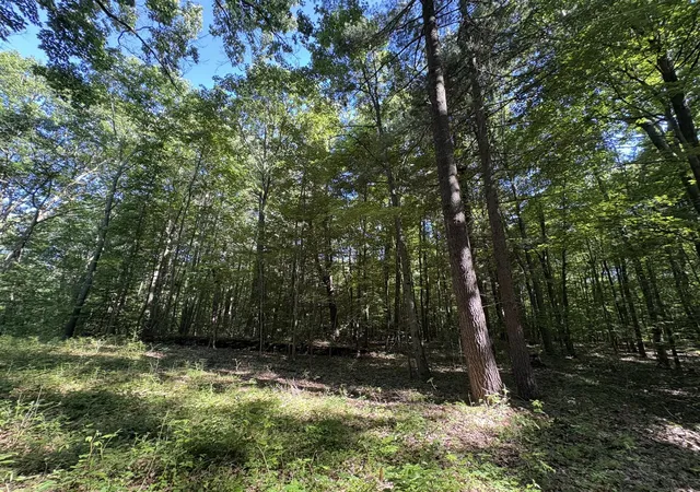2nd image of 104th Ave, Allegan, MI 49010 | MLS# 70541694