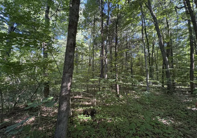 3rd image of 104Th Ave, Allegan, MI 49010 | MLS# 70541694